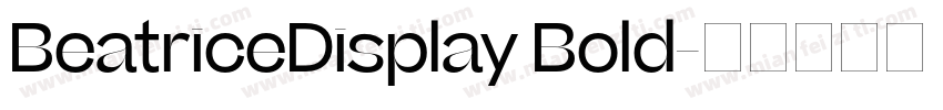 BeatriceDisplay Bold字体转换
